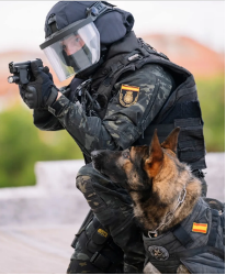 Perros policía en búsqueda y localización de personas ocultas