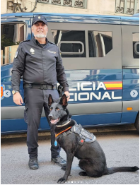 Binomio guía canino y perro policía en servicio